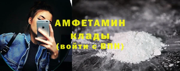 ПСИЛОЦИБИНОВЫЕ ГРИБЫ Горно-Алтайск