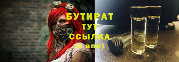ПСИЛОЦИБИНОВЫЕ ГРИБЫ Горно-Алтайск