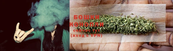 ПСИЛОЦИБИНОВЫЕ ГРИБЫ Горно-Алтайск