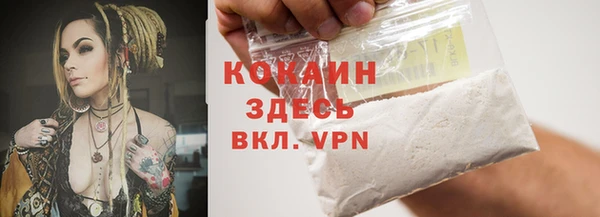 ПСИЛОЦИБИНОВЫЕ ГРИБЫ Горно-Алтайск