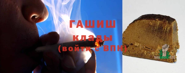 ПСИЛОЦИБИНОВЫЕ ГРИБЫ Горно-Алтайск