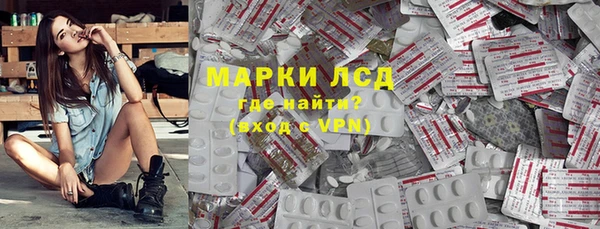 ПСИЛОЦИБИНОВЫЕ ГРИБЫ Горно-Алтайск