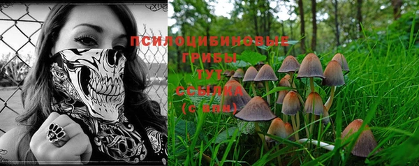 ПСИЛОЦИБИНОВЫЕ ГРИБЫ Горно-Алтайск