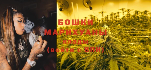 ПСИЛОЦИБИНОВЫЕ ГРИБЫ Горно-Алтайск