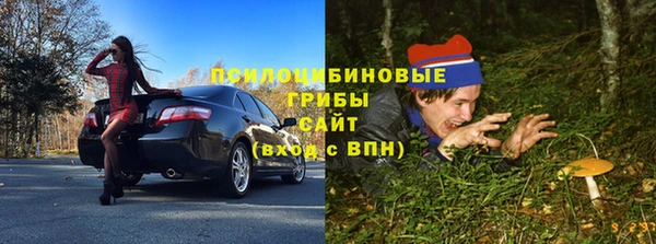 ПСИЛОЦИБИНОВЫЕ ГРИБЫ Горно-Алтайск