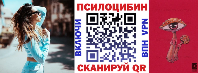 Псилоцибиновые грибы Cubensis  Пласт 
